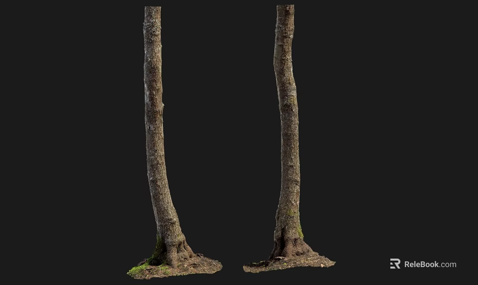 Tall Arbor Tree Trunks With Roots And Grass On Black Background 3d model
