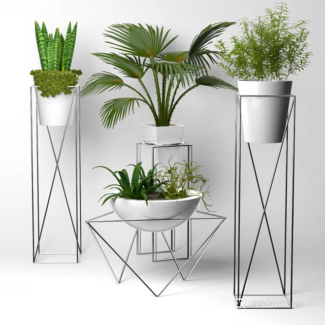 Bonsai Potted Plants With Palm Leaves And Metal Plant Stands In Various Designs 3d model 