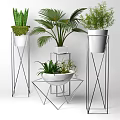 Bonsai Potted Plants With Palm Leaves And Metal Plant Stands In Various Designs