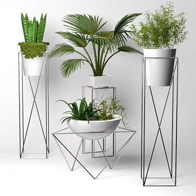 Bonsai Potted Plants With Palm Leaves And Metal Plant Stands In Various Designs 3d model