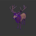 Realistic Brown Deer With Large Antlers Standing On White Background 3d model