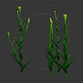 Vibrant Colorful Flowers With Green Stems Blooming On Dark Background Plant