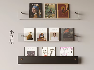 Artistic Books and Magazines on Wall Mounted Shelves with Colorful Covers and Modern Design 3d model