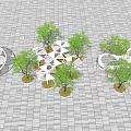 Modern Landscape Design With Geometric White Frames Small Trees And Gray Brick Pavement 3d model