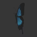 Blue Butterfly with Black Edged Wings on Gray Gradient Background and Reflection Below 3d model