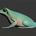 Turquoise Green Frog With Yellow Eyes White Underbelly And Pink Toes On Dark Reflective Surface