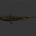 3D Rendered Fish with Brown Body Orange Dorsal Fin and Black Eyes