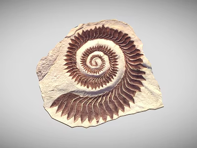 Intricate Spiral Stone Sculpture With Detailed Carved Patterns And Natural Texture 3d model