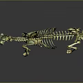Detailed Golden Horse Skeleton Model With Reflective Surface On Dark Background