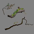 Natural Bonsai Plant with Driftwood Moss Small Flowers and Fruits for Decorative