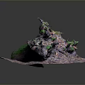 Natural Wood Log with Green Moss on Colorful Textured Stone Base
