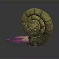 Snail Cartoon Snail Small Snail Reptile Cold Blooded Animal Reptile 3d model