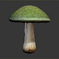 Fresh Green Mushroom with Vibrant Cap and Light Colored Stem as Edible Food