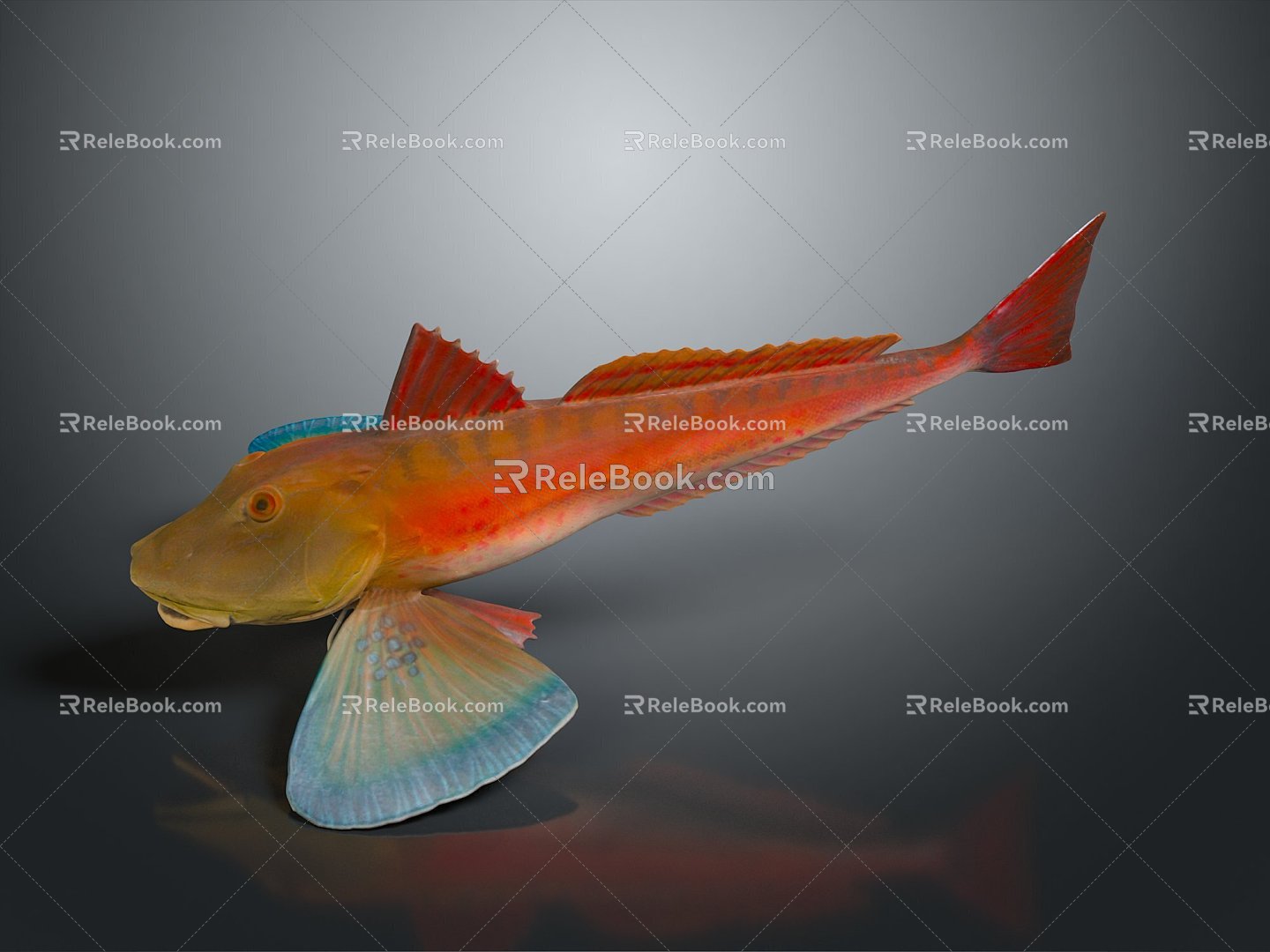 Catfish Carp Sturgeon Bass Freshwater Fish Various Carp Grass Carp Crucian Carp 3d model