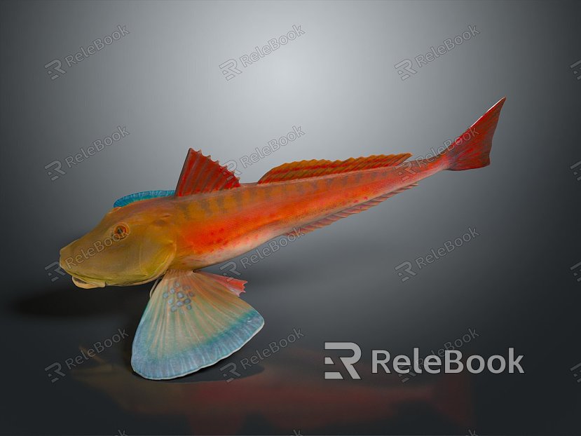 Catfish Carp Sturgeon Bass Freshwater Fish Various Carp Grass Carp Crucian Carp model