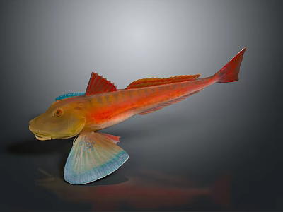 Colorful Orange Red Fish Decorative Figurine With Blue Fins For Home Decoration 3d model