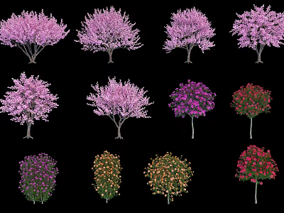 Colorful Arbor Trees With Pink Purple Red Orange Blooms And Foliage 3d model