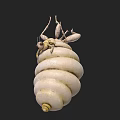 Unique White Spiral Structure With Top Leg Like Appendages And Textured Surface