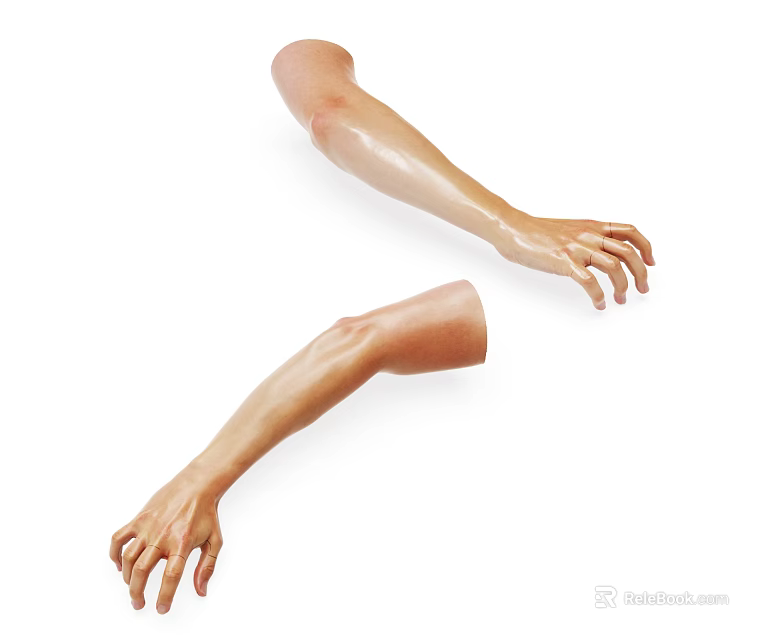 Man's Realistic Arm Models With Detailed Fingers And Lifelike Skin Texture 3d model 