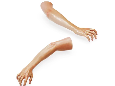 Man's Realistic Arm Models With Detailed Fingers And Lifelike Skin Texture 3d model