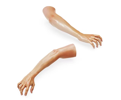 The Modern Arm 3d model The Modern Arm 3d model