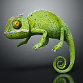 Green Chameleon With Coiled Tail Large Vibrant Eyes On Dark Background Showing Reflection