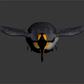 Standing Penguin With Black And White Feathers Orange Beak Isolated On White Background