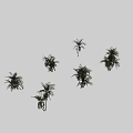 Palm Trees In Diverse Forms With Lush Green Foliage And Natural Growth States