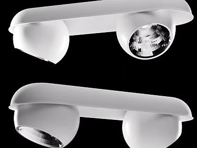 White Double Head Downlight Spotlight Modern Design For Indoor Lighting 3d model