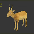 Orange Antelope With Curved Horns Standing On Dark Surface Showing Reflection 3d model