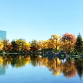 Scenic Autumn Landscape With Colorful Trees Lake Reflection And Distant City Buildings