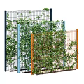 Vines Growing On Various Colored Metal Grid Fences For Garden Decoration