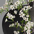 Elegant Decorative Ornament Set With Black Vases And White Flower Branches