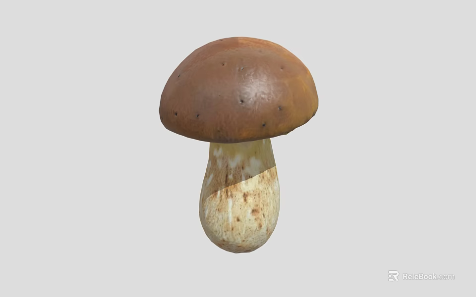 Fresh Organic Vegetable Mushroom with Brown Cap and White Stem Spots 3d model 