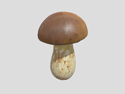Fresh Organic Vegetable Mushroom with Brown Cap and White Stem Spots 3d model