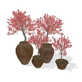 Bonsai Plants With Red Leaves In Terracotta Pots Of Various Sizes