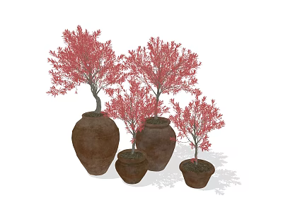 Bonsai Plants With Red Leaves In Terracotta Pots Of Various Sizes 3d model