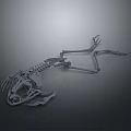 3D Rendered Dinosaur Skeleton Showing Skeletal Organs And Bone Structure Details