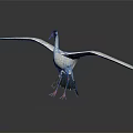 White Crane With Spread Wings Standing On Black Surface Gray Gradient Background 3d model