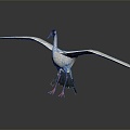 Modern Crane White Stork Birds 3d model