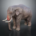 Realistic Gray Elephant Model With Long Ivory Tusks And Standing Posture 3d model
