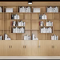 Modern Library 3d model