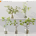 Clear Glass Vases With Green Foliage And Eucalyptus Leaves On Shelf