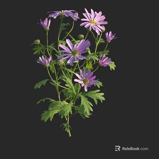Vibrant Purple Flowers with Lush Green Leaves on Slender Stems in Black Background 3d model 