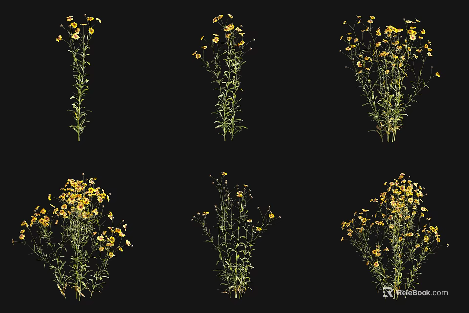 Yellow Flowering Plants With Green Stems In Various Displays On Black Background 3d model 