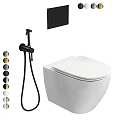 Modern White Ceramic Toilet With Black Bidet Sprayer And Multiple Color Options