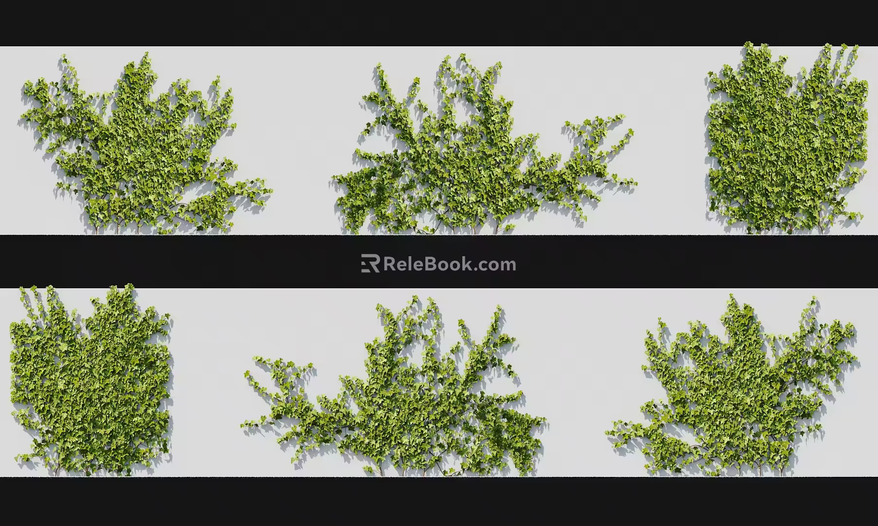 Modern Vine 3d model