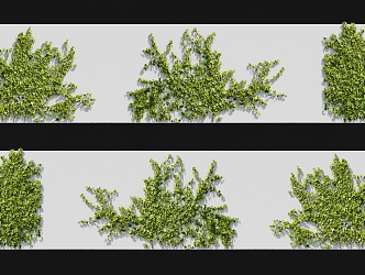 Modern Vine 3d model