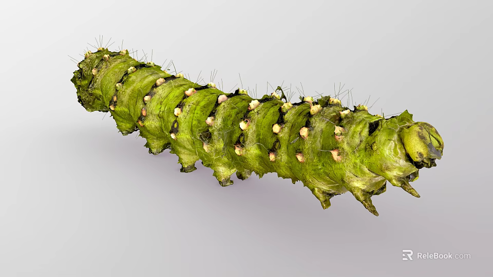 Long Green Reptile With Segmented Body Covered In Spines And Tubercles 3d model 