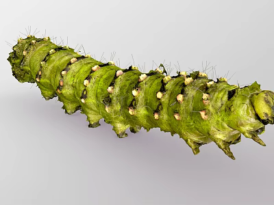 Long Green Reptile With Segmented Body Covered In Spines And Tubercles 3d model Long Green Reptile With Segmented Body Covered In Spines And Tubercles 3d model